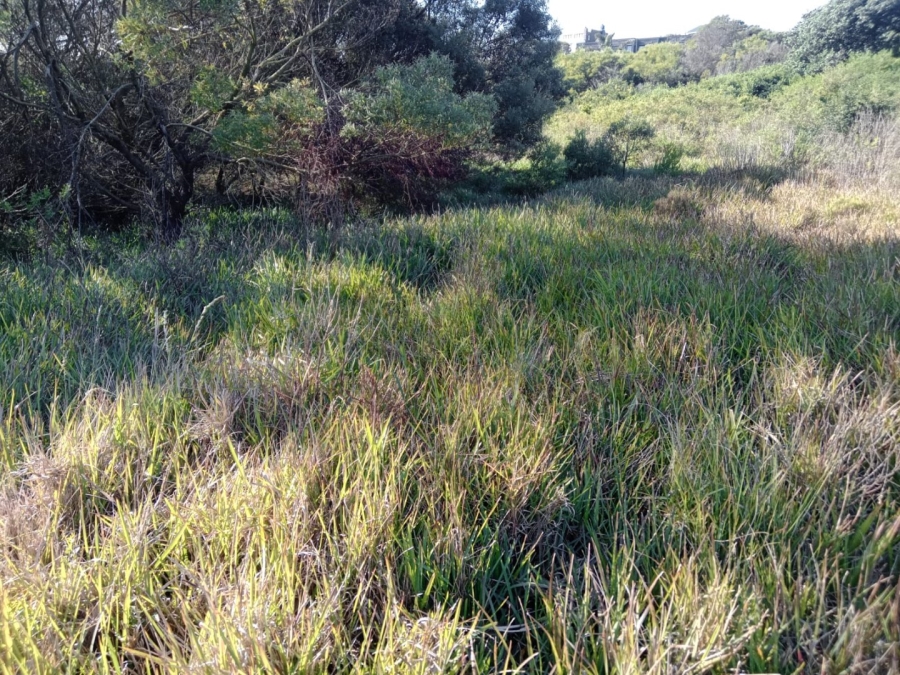 Commercial Property for Sale in Paradise Beach Eastern Cape